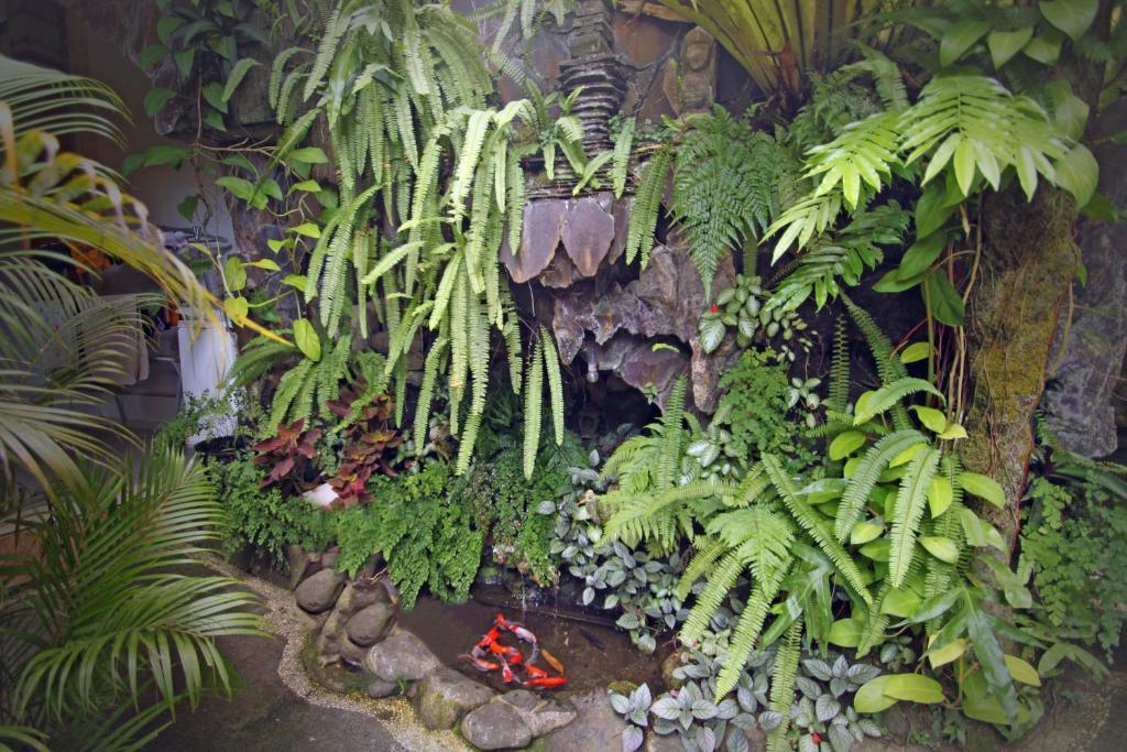 Praety Home Stay Убуд Стая снимка